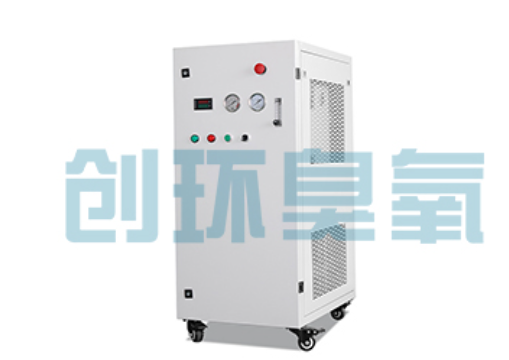 湘潭石斑鱼养殖水质调控完整指南：臭氧发生器配置与操作步骤