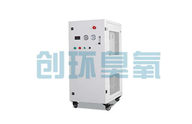 湘潭比传统换水更高效？臭氧发生器在石斑鱼养殖中的水质净化原理解析